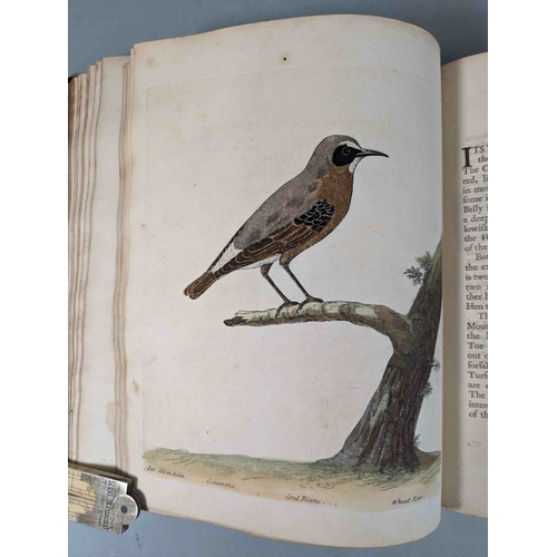 266 - ALBIN, Eleazar. A Natural History of Birds, to which are added, Notes and Observations by W. Derham,... 