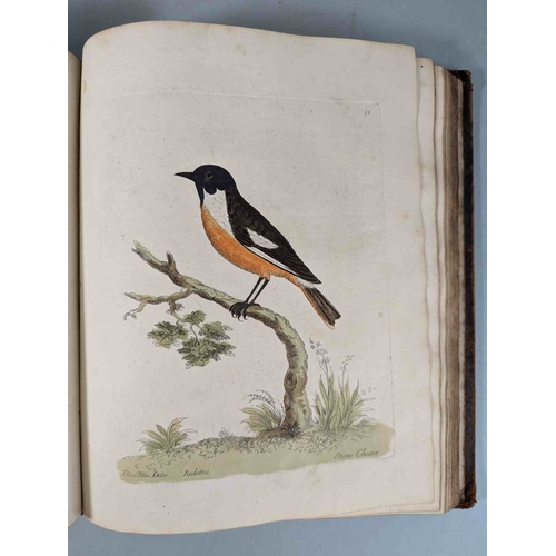 266 - ALBIN, Eleazar. A Natural History of Birds, to which are added, Notes and Observations by W. Derham,... 