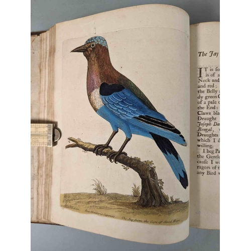 266 - ALBIN, Eleazar. A Natural History of Birds, to which are added, Notes and Observations by W. Derham,... 