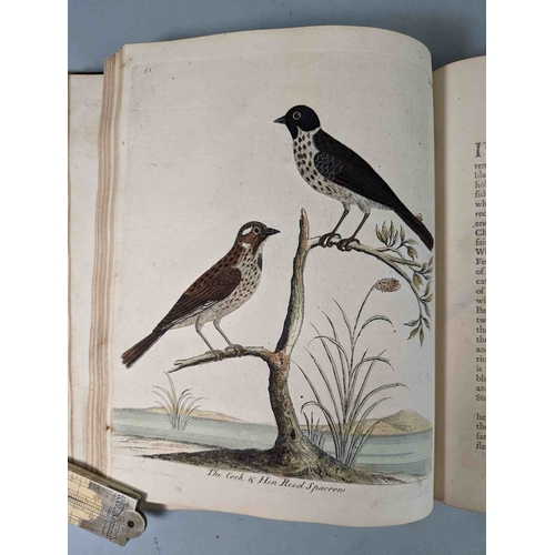 266 - ALBIN, Eleazar. A Natural History of Birds, to which are added, Notes and Observations by W. Derham,... 