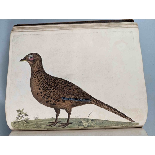 266 - ALBIN, Eleazar. A Natural History of Birds, to which are added, Notes and Observations by W. Derham,... 