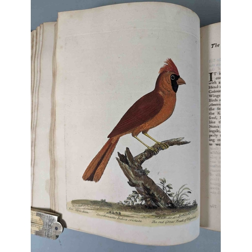 266 - ALBIN, Eleazar. A Natural History of Birds, to which are added, Notes and Observations by W. Derham,... 