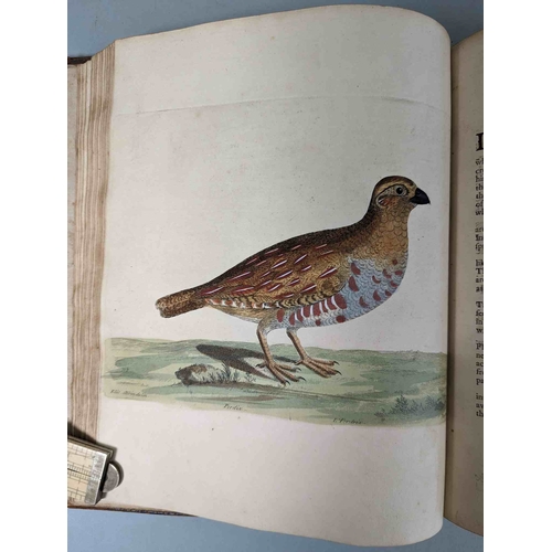 266 - ALBIN, Eleazar. A Natural History of Birds, to which are added, Notes and Observations by W. Derham,... 