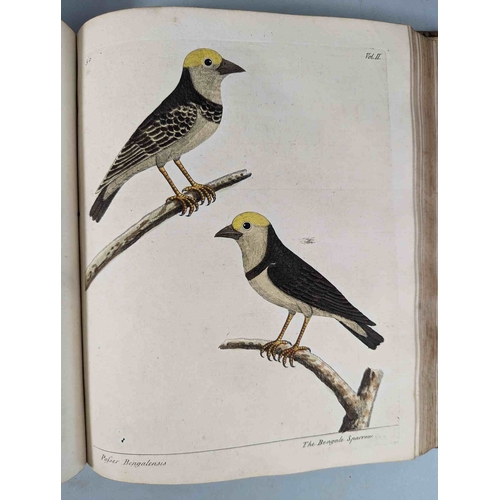 266 - ALBIN, Eleazar. A Natural History of Birds, to which are added, Notes and Observations by W. Derham,... 