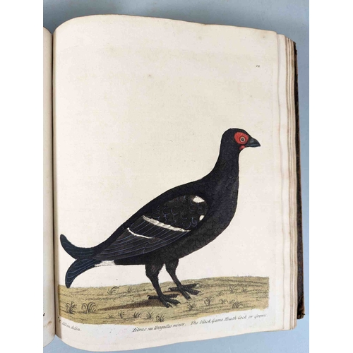 266 - ALBIN, Eleazar. A Natural History of Birds, to which are added, Notes and Observations by W. Derham,... 