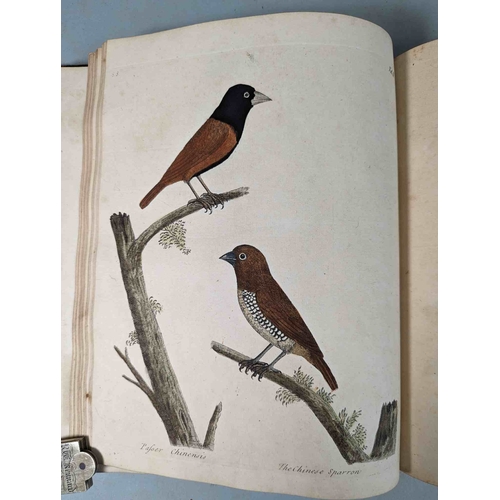 266 - ALBIN, Eleazar. A Natural History of Birds, to which are added, Notes and Observations by W. Derham,... 