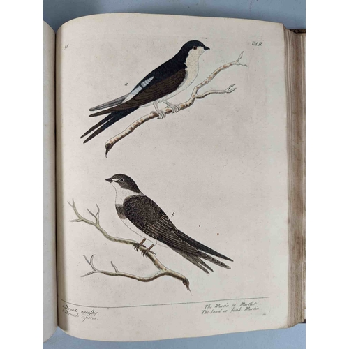 266 - ALBIN, Eleazar. A Natural History of Birds, to which are added, Notes and Observations by W. Derham,... 