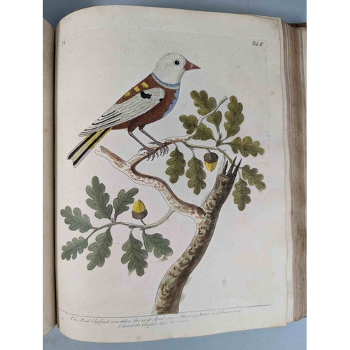 266 - ALBIN, Eleazar. A Natural History of Birds, to which are added, Notes and Observations by W. Derham,... 