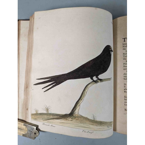 266 - ALBIN, Eleazar. A Natural History of Birds, to which are added, Notes and Observations by W. Derham,... 