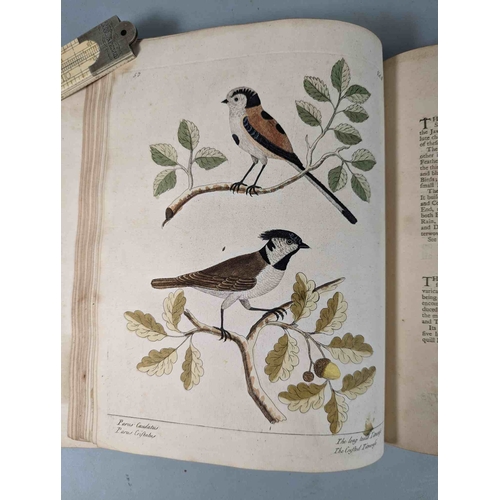 266 - ALBIN, Eleazar. A Natural History of Birds, to which are added, Notes and Observations by W. Derham,... 