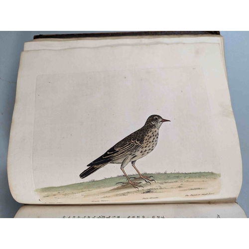 266 - ALBIN, Eleazar. A Natural History of Birds, to which are added, Notes and Observations by W. Derham,... 