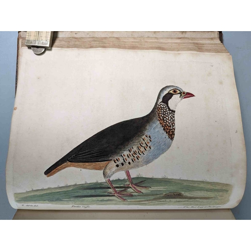 266 - ALBIN, Eleazar. A Natural History of Birds, to which are added, Notes and Observations by W. Derham,... 