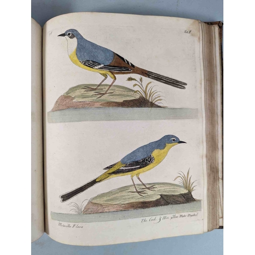 266 - ALBIN, Eleazar. A Natural History of Birds, to which are added, Notes and Observations by W. Derham,... 