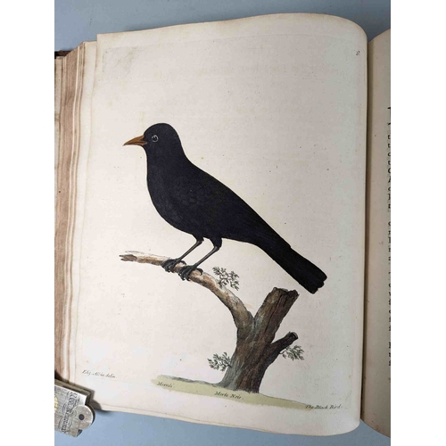 266 - ALBIN, Eleazar. A Natural History of Birds, to which are added, Notes and Observations by W. Derham,... 