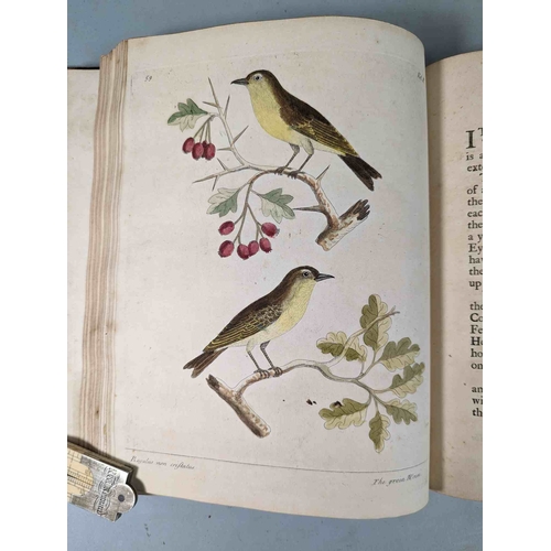 266 - ALBIN, Eleazar. A Natural History of Birds, to which are added, Notes and Observations by W. Derham,... 