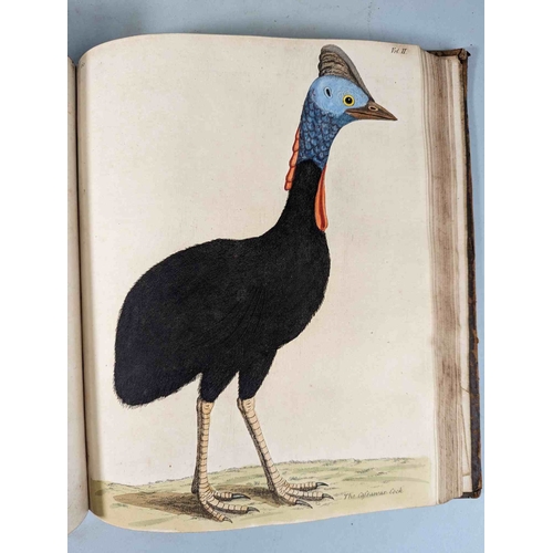 266 - ALBIN, Eleazar. A Natural History of Birds, to which are added, Notes and Observations by W. Derham,... 