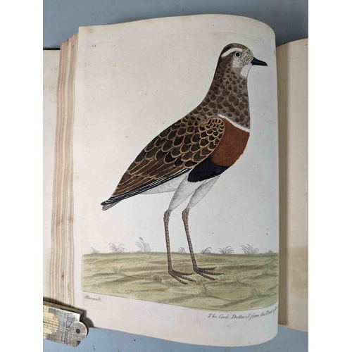 266 - ALBIN, Eleazar. A Natural History of Birds, to which are added, Notes and Observations by W. Derham,... 