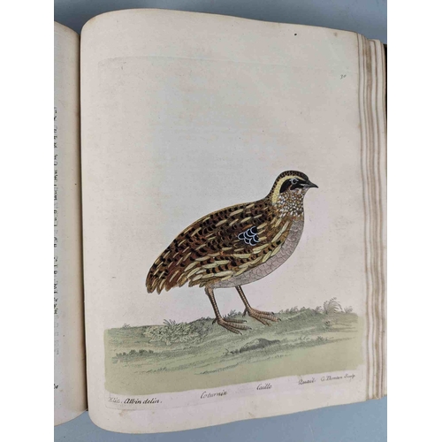 266 - ALBIN, Eleazar. A Natural History of Birds, to which are added, Notes and Observations by W. Derham,... 