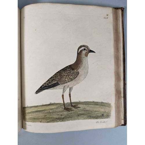 266 - ALBIN, Eleazar. A Natural History of Birds, to which are added, Notes and Observations by W. Derham,... 