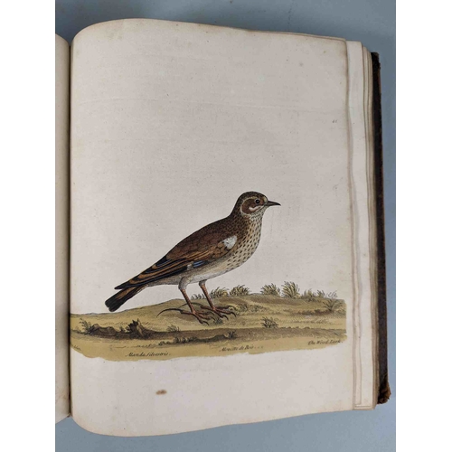 266 - ALBIN, Eleazar. A Natural History of Birds, to which are added, Notes and Observations by W. Derham,... 