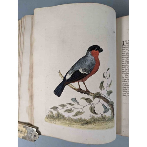 266 - ALBIN, Eleazar. A Natural History of Birds, to which are added, Notes and Observations by W. Derham,... 