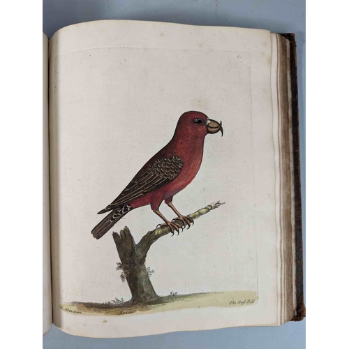 266 - ALBIN, Eleazar. A Natural History of Birds, to which are added, Notes and Observations by W. Derham,... 