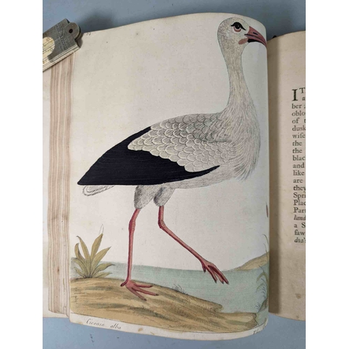 266 - ALBIN, Eleazar. A Natural History of Birds, to which are added, Notes and Observations by W. Derham,... 