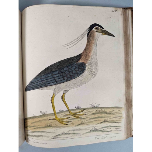 266 - ALBIN, Eleazar. A Natural History of Birds, to which are added, Notes and Observations by W. Derham,... 