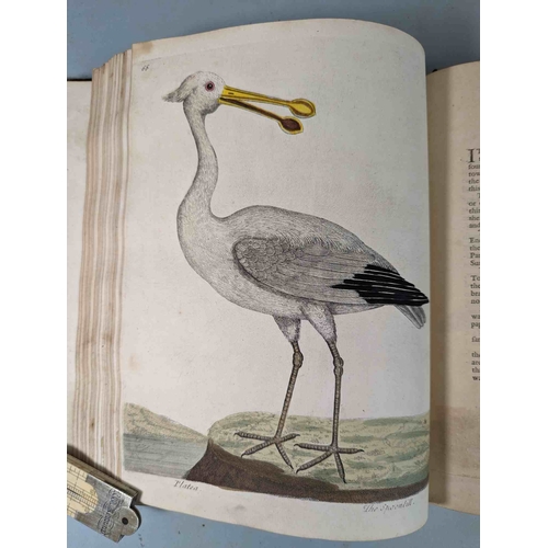 266 - ALBIN, Eleazar. A Natural History of Birds, to which are added, Notes and Observations by W. Derham,... 