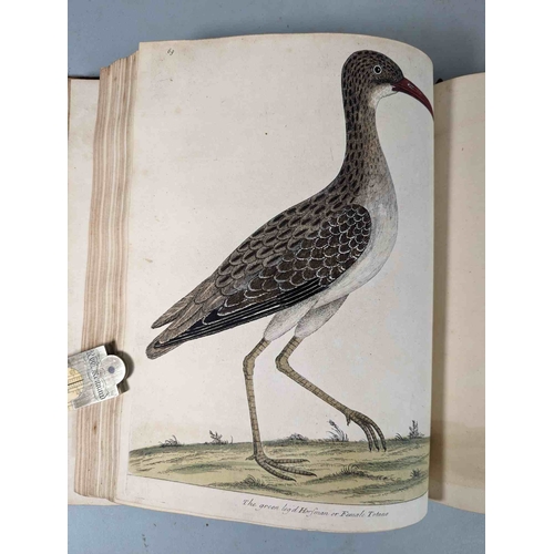 266 - ALBIN, Eleazar. A Natural History of Birds, to which are added, Notes and Observations by W. Derham,... 