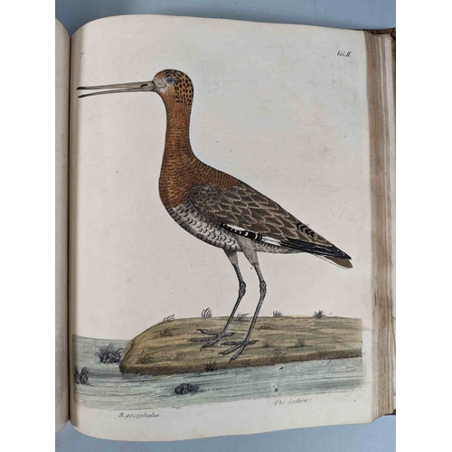 266 - ALBIN, Eleazar. A Natural History of Birds, to which are added, Notes and Observations by W. Derham,... 