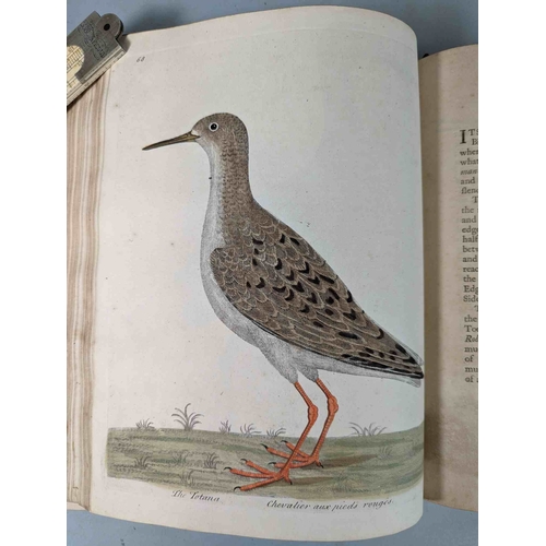 266 - ALBIN, Eleazar. A Natural History of Birds, to which are added, Notes and Observations by W. Derham,... 