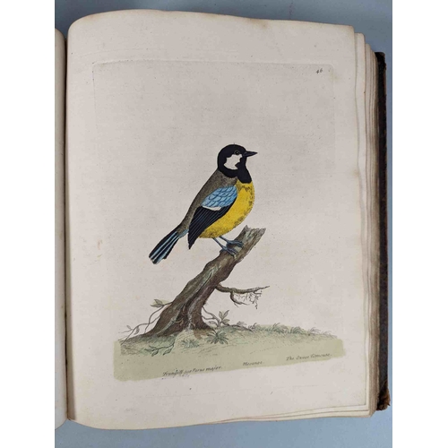 266 - ALBIN, Eleazar. A Natural History of Birds, to which are added, Notes and Observations by W. Derham,... 