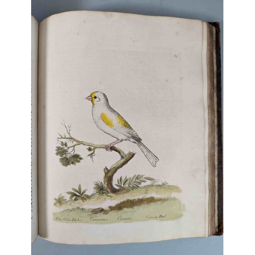 266 - ALBIN, Eleazar. A Natural History of Birds, to which are added, Notes and Observations by W. Derham,... 