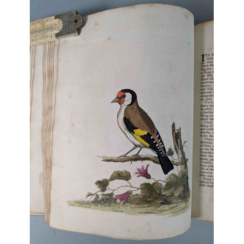 266 - ALBIN, Eleazar. A Natural History of Birds, to which are added, Notes and Observations by W. Derham,... 