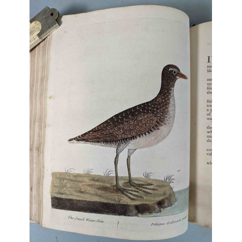 266 - ALBIN, Eleazar. A Natural History of Birds, to which are added, Notes and Observations by W. Derham,... 