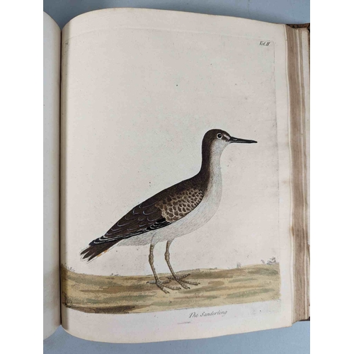 266 - ALBIN, Eleazar. A Natural History of Birds, to which are added, Notes and Observations by W. Derham,... 