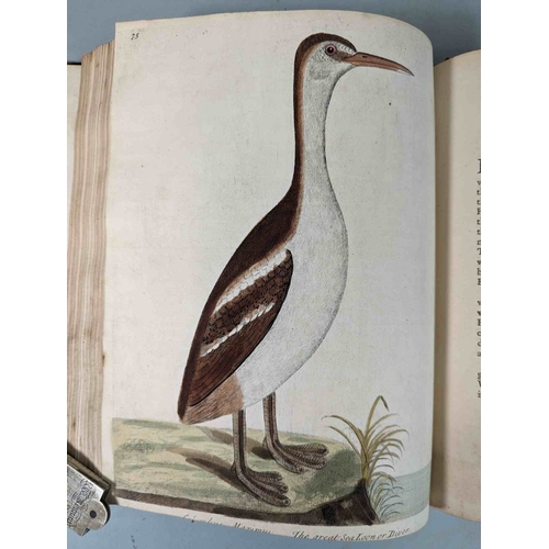 266 - ALBIN, Eleazar. A Natural History of Birds, to which are added, Notes and Observations by W. Derham,... 