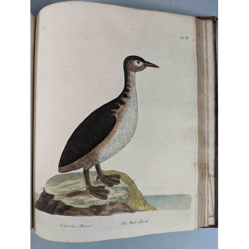 266 - ALBIN, Eleazar. A Natural History of Birds, to which are added, Notes and Observations by W. Derham,... 