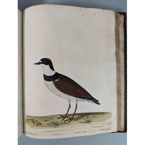 266 - ALBIN, Eleazar. A Natural History of Birds, to which are added, Notes and Observations by W. Derham,... 