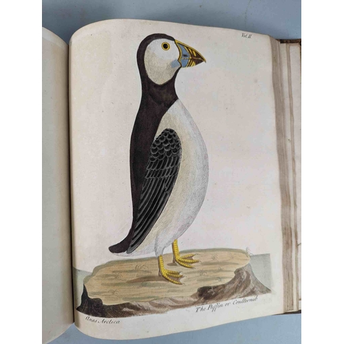 266 - ALBIN, Eleazar. A Natural History of Birds, to which are added, Notes and Observations by W. Derham,... 