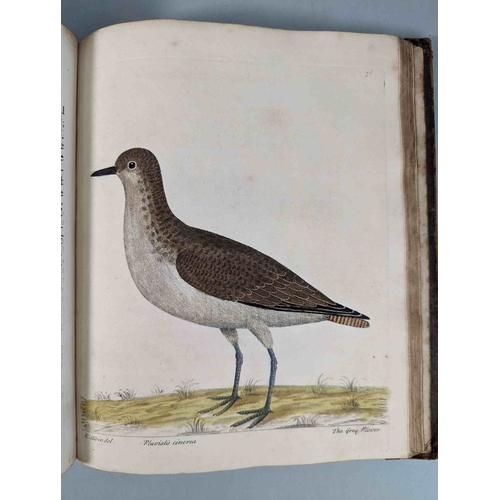 266 - ALBIN, Eleazar. A Natural History of Birds, to which are added, Notes and Observations by W. Derham,... 