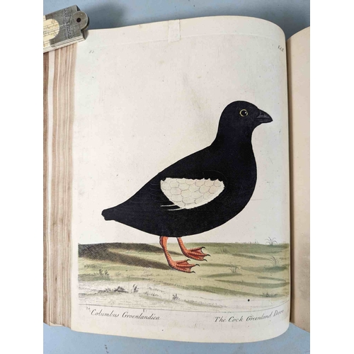 266 - ALBIN, Eleazar. A Natural History of Birds, to which are added, Notes and Observations by W. Derham,... 