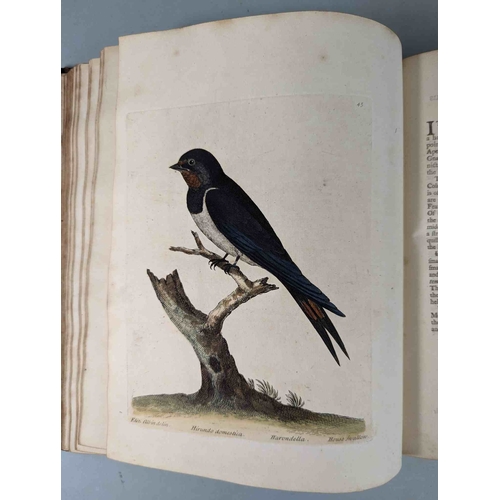 266 - ALBIN, Eleazar. A Natural History of Birds, to which are added, Notes and Observations by W. Derham,... 