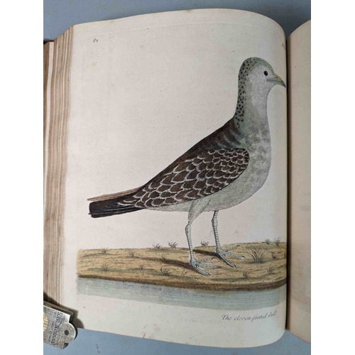 266 - ALBIN, Eleazar. A Natural History of Birds, to which are added, Notes and Observations by W. Derham,... 