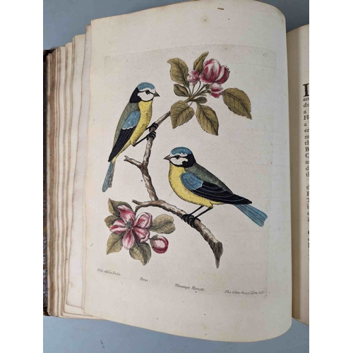 266 - ALBIN, Eleazar. A Natural History of Birds, to which are added, Notes and Observations by W. Derham,... 