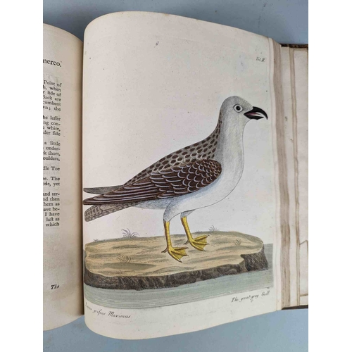 266 - ALBIN, Eleazar. A Natural History of Birds, to which are added, Notes and Observations by W. Derham,... 