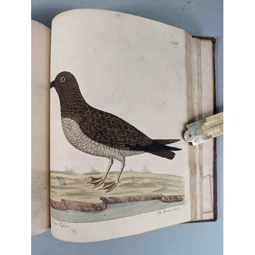 266 - ALBIN, Eleazar. A Natural History of Birds, to which are added, Notes and Observations by W. Derham,... 