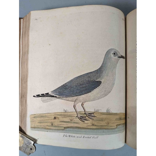 266 - ALBIN, Eleazar. A Natural History of Birds, to which are added, Notes and Observations by W. Derham,... 