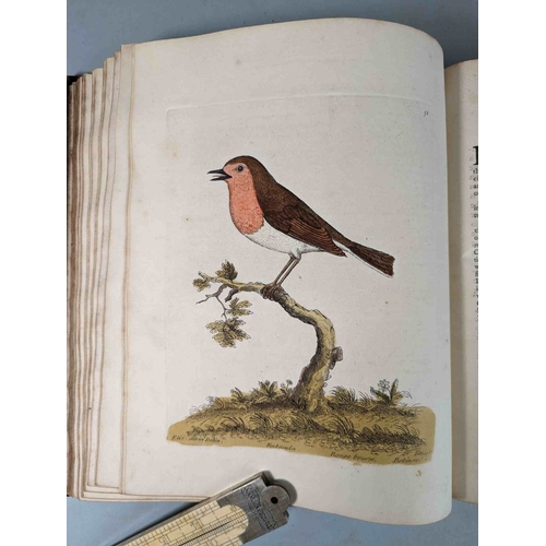 266 - ALBIN, Eleazar. A Natural History of Birds, to which are added, Notes and Observations by W. Derham,... 